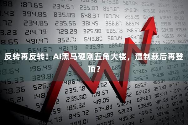 反转再反转！AI黑马硬刚五角大楼，遭制裁后再登顶？