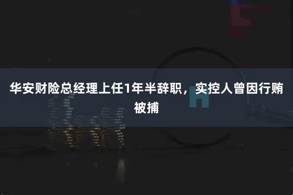 华安财险总经理上任1年半辞职，实控人曾因行贿被捕