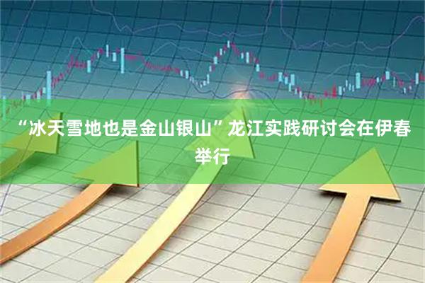“冰天雪地也是金山银山”龙江实践研讨会在伊春举行